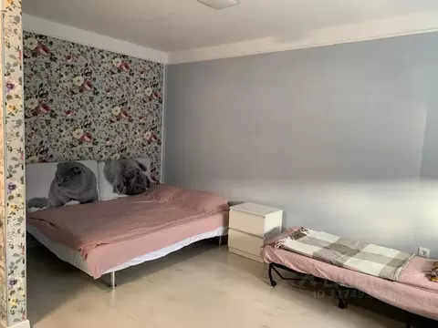 1-к кв. Ленинградская область, Сертолово Всеволожский район, ул. ...