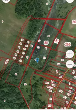 Участок в Новгородская область, Новгородский район, Ракомское с/пос, ...