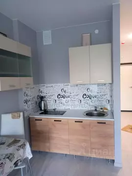 Студия Пермский край, Пермь Ветлужская ул., 30 (30.0 м)