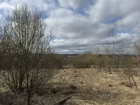 Участок в Московская область, Серпухов городской округ, д. Палихово  ...