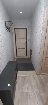 3-к кв. Алтайский край, Бийск Социалистическая ул., 108 (50.0 м)