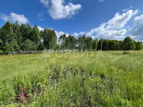 Участок в Тюменская область, Тюменский муниципальный округ, д. ...