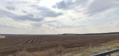 Участок в Воронежская область, Семилукский район Р-298, 214-й км ...