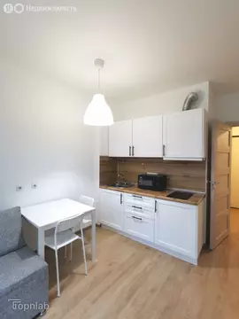 Квартира-студия: Санкт-Петербург, проспект Ветеранов, 171к2 (24.4 м)