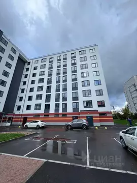 Студия Ленинградская область, Всеволожский район, Романовское с/пос, ...