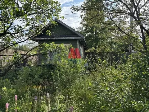 Участок в Ярославская область, Ярославль Резинотехника-3 СНТ, 202 (5.4 ...