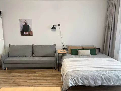 1-к кв. Пермский край, Пермь Екатерининская ул., 177А (45.0 м)