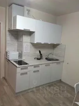 Студия Ленинградская область, Мурино Всеволожский район, бул. ...