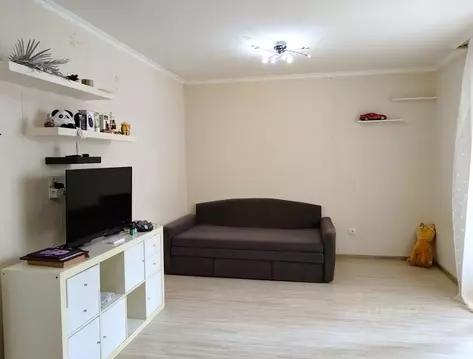 Студия Санкт-Петербург Ленская ул., 19к1 (30.6 м)