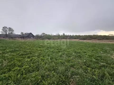 Участок в Смоленская область, Руднянский муниципальный округ, д. ...