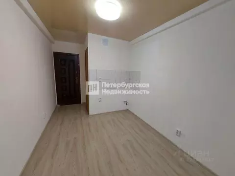 Студия Санкт-Петербург Суздальский просп., 9 (11.75 м)