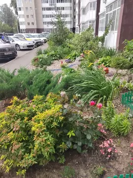 Студия Московская область, Старая Купавна Богородский городской округ, ...