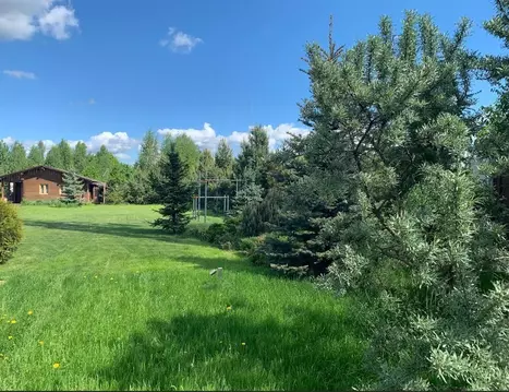 Участок в Московская область, Пушкинский городской округ, с. ...