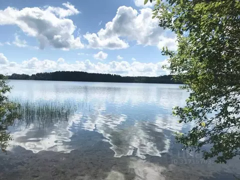 Участок в Новгородская область, Окуловский район, Березовикское с/пос, ...
