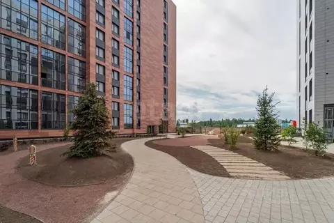 Студия Санкт-Петербург просп. Орлово-Денисовский, 16к2 (21.52 м)