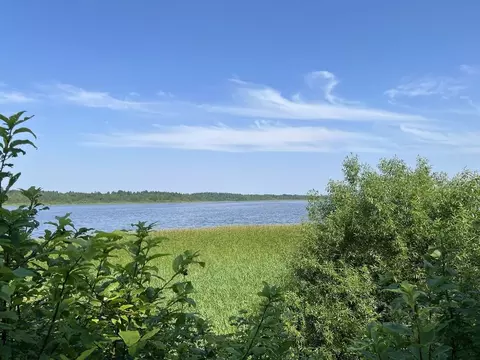 Дом в Ленинградская область, Гатчинский муниципальный округ, д. ...