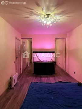 2-комнатная квартира: посёлок Парголово, Заречная улица, 11к4 (59.5 м)