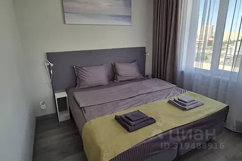 1-к кв. Санкт-Петербург Витебский просп., 101к1 (29.0 м)