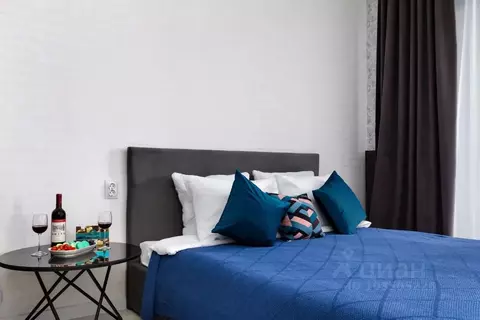 Студия Новосибирская область, Новосибирск Красный просп., 104 (38.0 м)