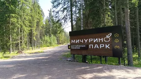 Участок в Ленинградская область, Приозерский район, Раздольевское ...