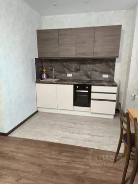 Студия Санкт-Петербург пос. Шушары, просп. Старорусский, 8к1 (25.0 м)