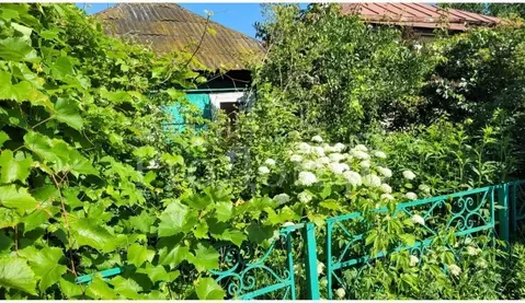 Дом в Курская область, Курск  (42 м)
