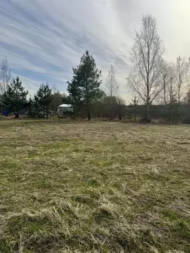 Участок в Московская область, Егорьевск муниципальный округ, д. Двойни ...