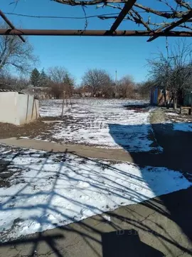 Дом в Ростовская область, Егорлыкская ст-ца ул. Свердлова (55 м)