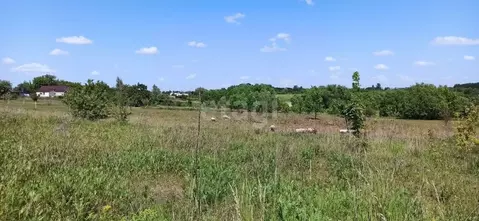 Участок в Белгородская область, Губкинский городской округ, с. ...