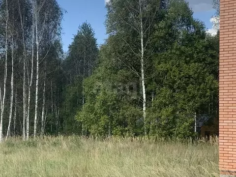 Участок в Калужская область, Калуга городской округ, д. Ильинка  (9.17 ...