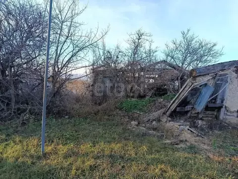 Участок в Белгородская область, Волоконовский район, с. Ютановка ул. ...
