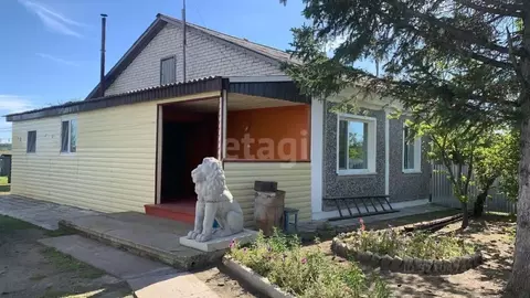 Дом в Амурская область, Ромненский муниципальный округ, с. Поздеевка ...