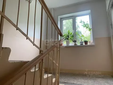 2-к кв. Красноярский край, Красноярск ул. Академгородок, 2 (42.7 м)