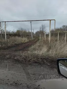 Участок в Воронежская область, Новоусманский район, с. Рогачевка ул. ...