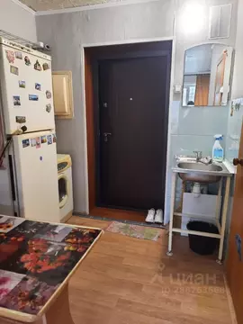 Студия Красноярский край, Красноярск ул. Королева, 12 (18.0 м)