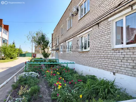 1-комнатная квартира: Чернушка, Пионерская улица, 81А (38.3 м)