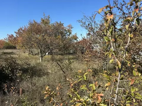 Участок в Крым, Симферопольский район, Трудовское с/пос, Алгоритм СНТ ...