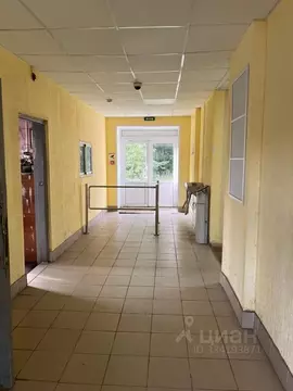 Помещение свободного назначения в Санкт-Петербург пос. Стрельна, дор. ...