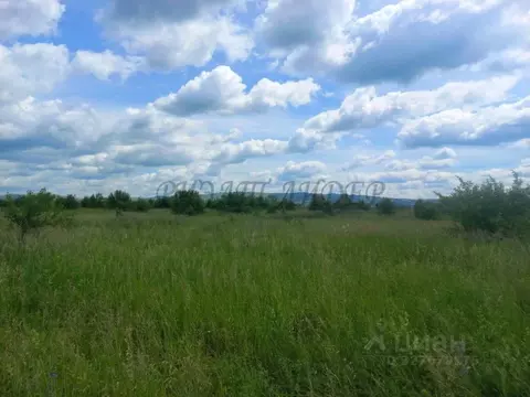 Участок в Алтайский край, Алтайский район, Айский сельсовет, ...