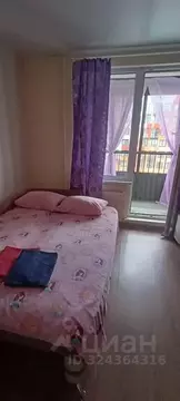 Студия Санкт-Петербург ул. Крыленко, 1к1 (25.0 м)