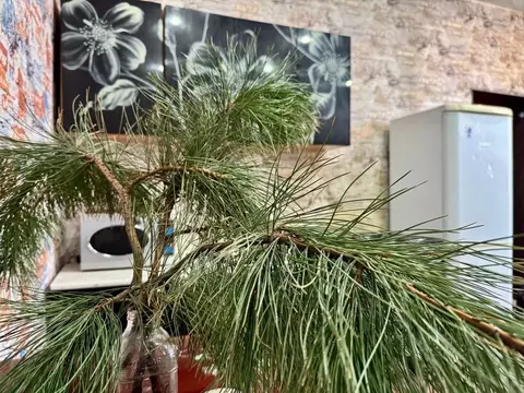 Студия Иркутская область, Иркутск Ершовский мкр, 142А (25.0 м)