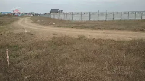 Участок в Крым, Черноморский район, Оленевское с/пос, с. Оленевка ул. ...
