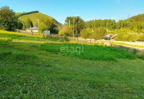 Участок в Алтайский край, Алтайский район, с. Нижнекаянча ул. Школьная ...