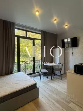 Студия Краснодарский край, Сочи ул. Мира, 177А/13 (23.0 м)