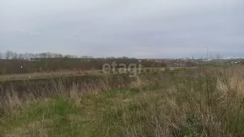 Участок в Белгородская область, Корочанский район, Мелиховское с/пос, ...