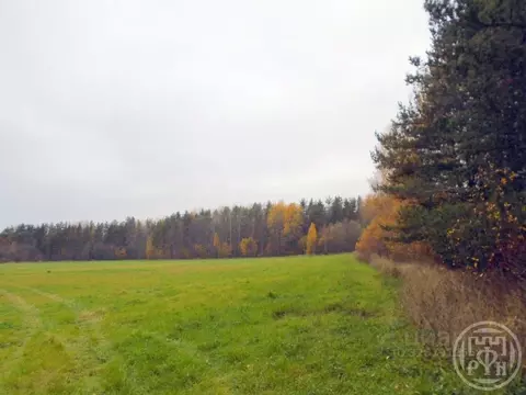 Участок в Ленинградская область, Выборгский район, Красносельское ...