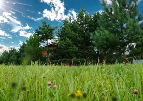 Участок в Московская область, Ступино городской округ, Кедровый парк ...