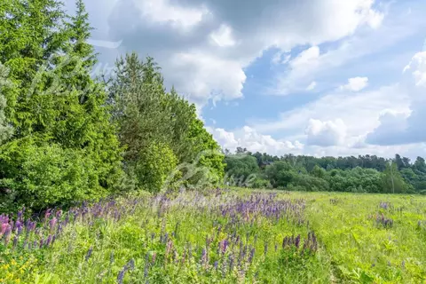 Участок в Москва д. Подосинки, 26 (98.5 сот.)