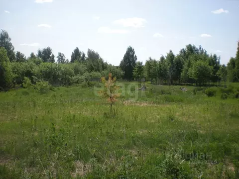 Участок в Тюменская область, Нижнетавдинский муниципальный округ, ...