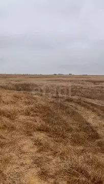 Участок в Крым, Сакский район, Молочненское с/пос, с. Витино  (6.0 ...